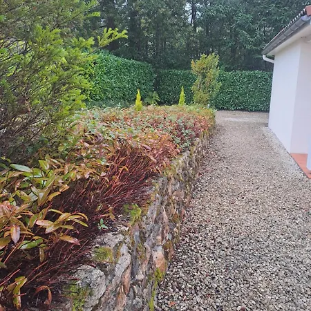 Familiehuis Op Park - Hond Welkom Holiday home