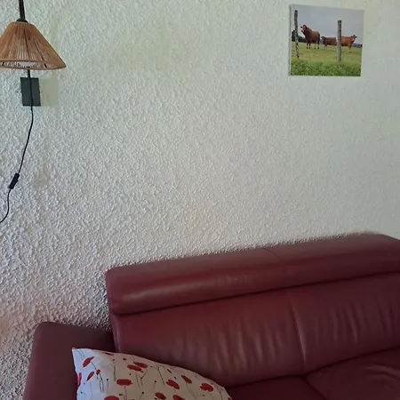 Holiday home Familiehuis Op Park - Hond Welkom